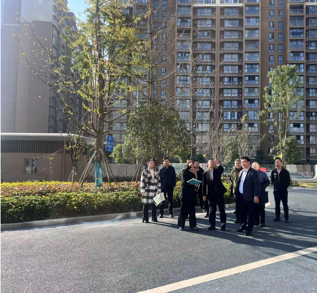 副市長徐春龍調研德陽市老年養(yǎng)護院、德陽市民政精神衛(wèi)生福利機構項目建設工作